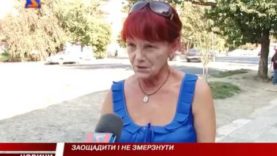 Програма «ЧАС». Hовини Закарпаття за 10 вересня 2016 року на М-Студіо.