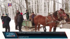 Шотландські лісівники на Закарпатті.