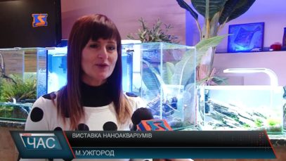 Виставка наноакваріумів в Ужгороді.
