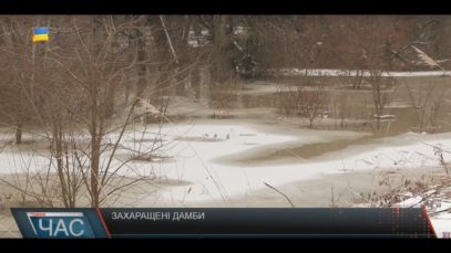 Через захаращені дамби дворогосподарства селян в зоні ризику підтоплення.