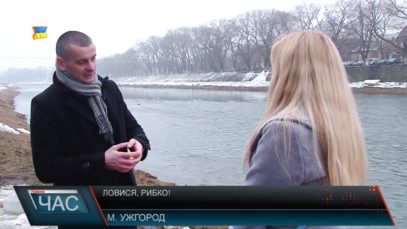 В Ужі масово гине риба