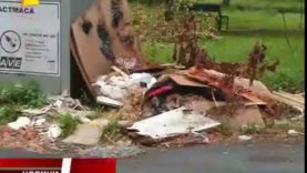 Біля сміттєвих контейнерів у Мукачеві купи побутових відходів. Хто має прибрати сміття?