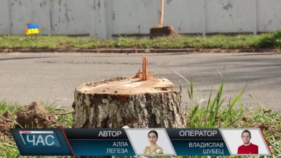 Чи підтримують жителі Чопа озеленення міста?