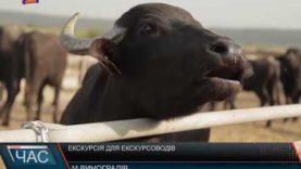 Цікава екскурсія у Виноградові