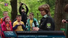 Екскурсія для дітей в дендропарку «Березинка»