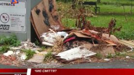 Кругообіг відмовок чиновників. Битва за сміття