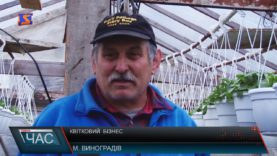 Квітковий бізнес на Закарпатті