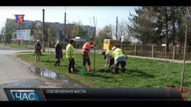 На озеленення Мукачева витратять 4,5 млн. грн. платників податків