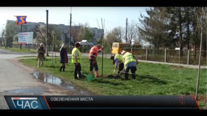 На озеленення Мукачева витратять 4,5 млн. грн. платників податків
