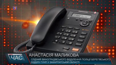 На Виноградівщині нетверезий водій спричинив ДТП