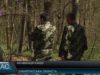 На Закарпатті активізувались кліщі.