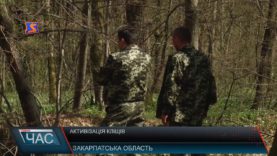 На Закарпатті активізувались кліщі.