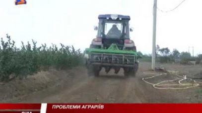 Недолуге законодавство перешкоджає закарпатським аграріям розвивати бізнес
