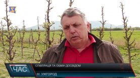 Обмін досвідом садівників Закарпаття та Вінниччини