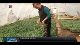 Парниковий період. Зелене золото