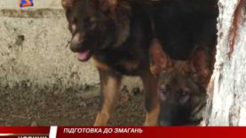 Підготовка до Всеукраїнського змагання кінологів.