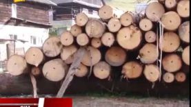 Протести громади. Проти вирубки