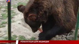 Рай для клишоногих.