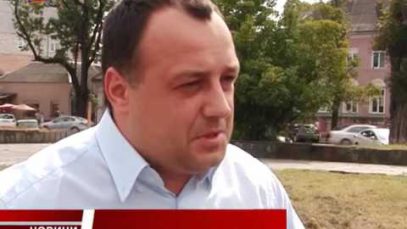 Саджанці ялинок, що посадили на місці нещодавно вирубаних дерев в Ужгороді, знову знищили