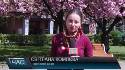 У Виноградові розцвіли сакури