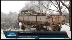 В Ракошині самовільно вирубали сад