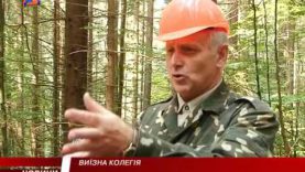 В Івано-Франківській області закарпатські лісники обговорили стратегію розвитку лісового господарства