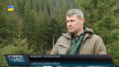 Ведмеже поповнення