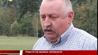 Жителі Воловецького району обурені варварським вирубуванням дерев