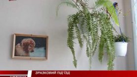 Зразковий під”їзд у Мукачеві