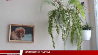 Зразковий під”їзд у Мукачеві