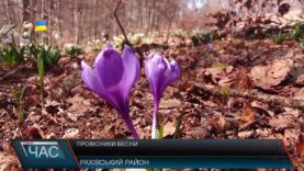 Зустріч зими з весною в горах