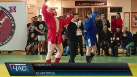 Чемпіонат із бойового самбо