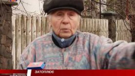 Через прорив дамби у селищі Кольчино на Мукачівщині кілька дворогосподарств підтопило