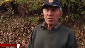 Дорога в селі Дешковиця на Іршавщині нагадує військову польову дорогу