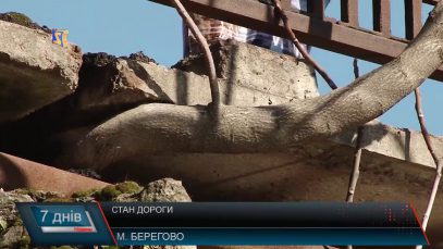 Дороги по-Берегівськи