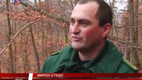 Екологічна стежка. Природа – наш дім