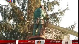 Ялинка у Хусті