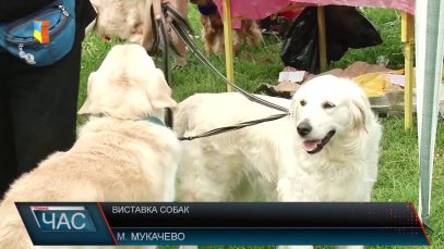 “Карпатія 2017”