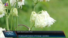 Карпатські трави