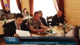 Координаційна рада