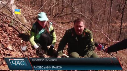 Лісівники разом зі школярами садили дерева