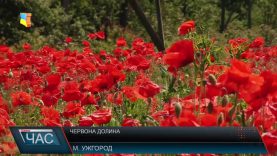 Макова долина