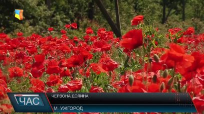 Макова долина