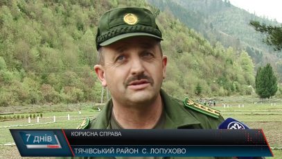 Молодий ліс