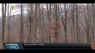 Міжнародний день лісу