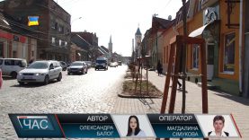 На озеленення вулиць Духновича та Пушкіна в Мукачеві з міського бюджету виділили 825 тисяч грн.