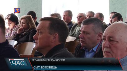 На Воловецькій сесії вирішили провести незалежний аудит доходів держпрацівників