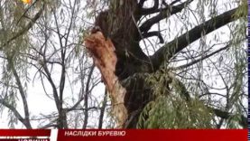 Наслідки негоди на Закарпатті