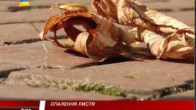 Небезпечне спалення. Канцерогени в повітря