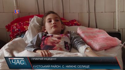 Отруєння у школі Нижнього Селища на Хустщині